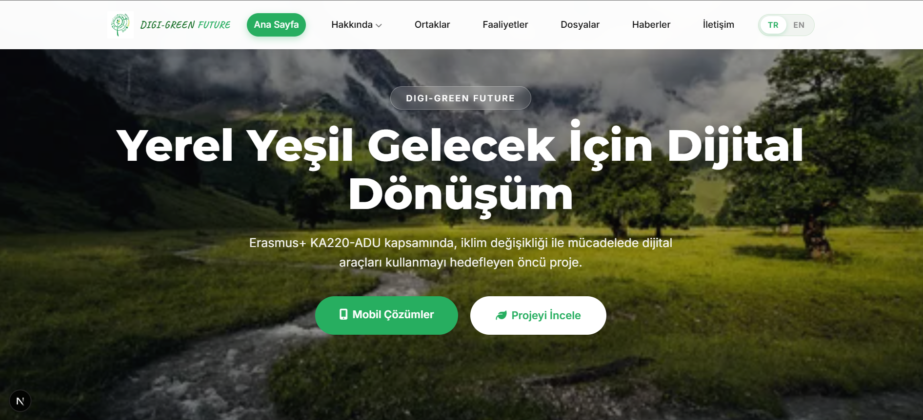 Project image