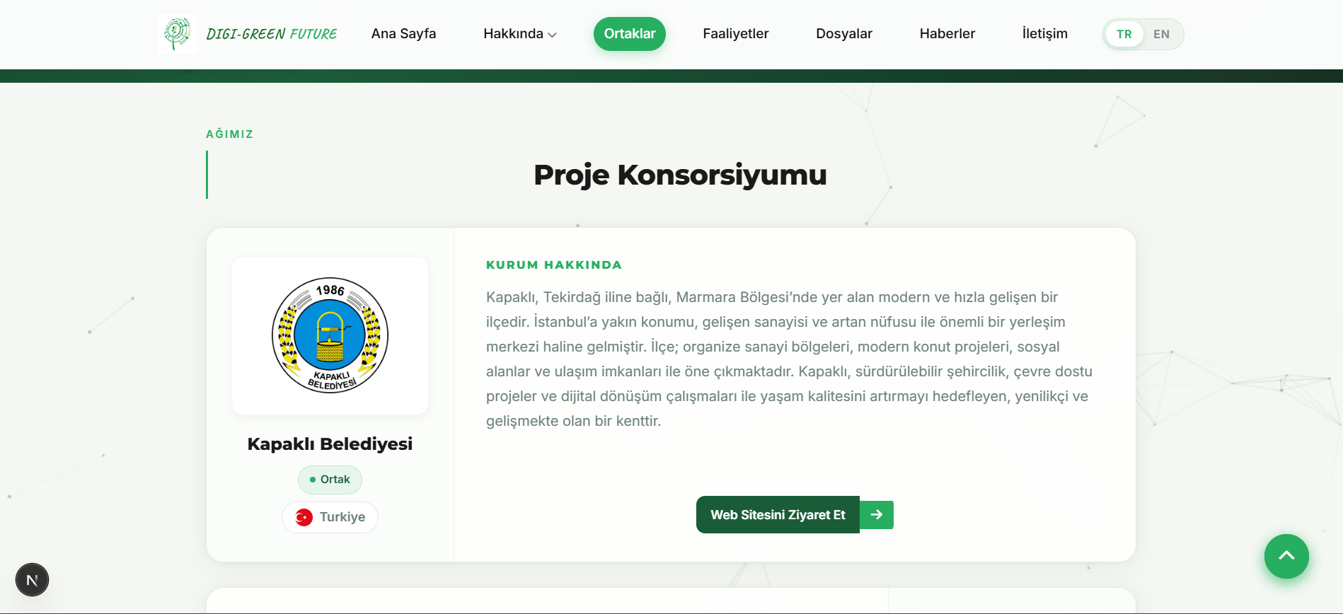 Project image