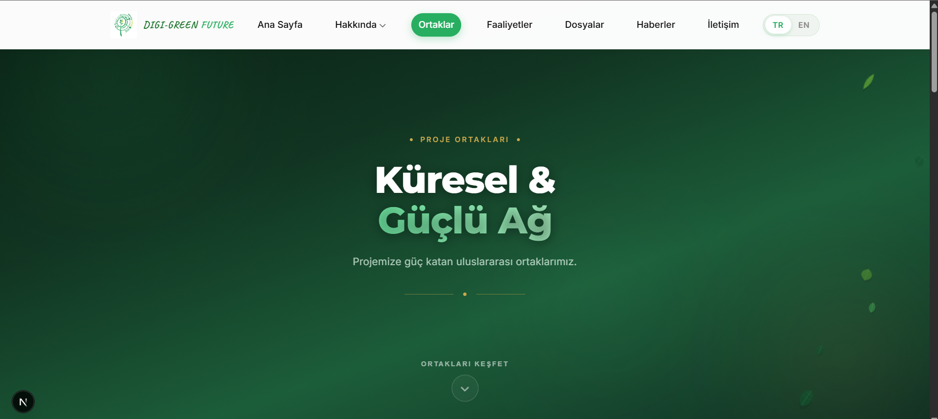 Project image